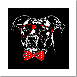 Cute American Pitbull Terrier dog Portrait Posters and Art